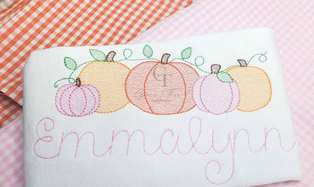Pumpkin patch embroidered Shirt, pumpkin girl, custom personalized pumpkin shirt, fall, Thanksgiving Shirt,Boy version availabile